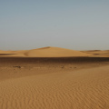 DSC_0042.jpg