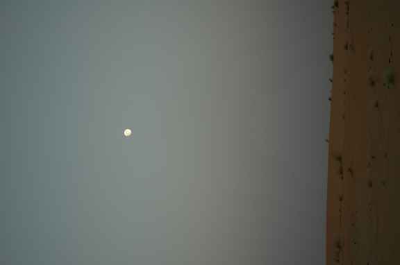 DSC_0069