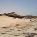 IMGP2414