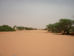 IMGP2448