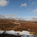 DSC_7168.jpg