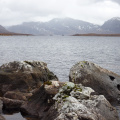 P1010200.jpg