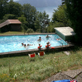 IMGP0203.jpg