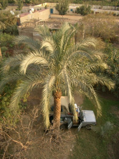 &quot;Camping&quot; in Kairo