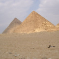 IMGP0647.jpg