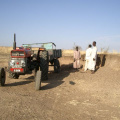 Bauern im Sudan