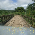 Brücke in Süd-Tanzania