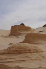 DSC_8372.JPG