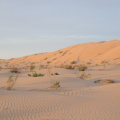 DSC_8422.JPG