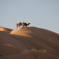 DSC_8429.JPG