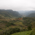 DSC_8248.jpg