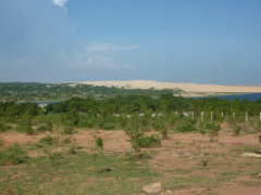 P1020068.JPG
