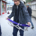 IMGP0277.JPG