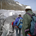 IMGP0669.jpg