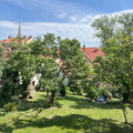 IMG 4304