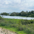 IMG 4631
